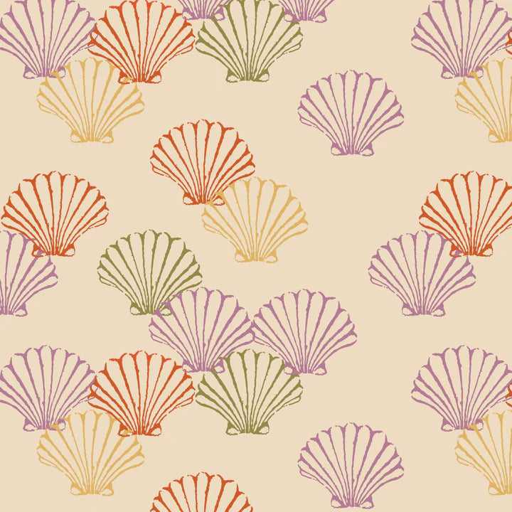 Shells