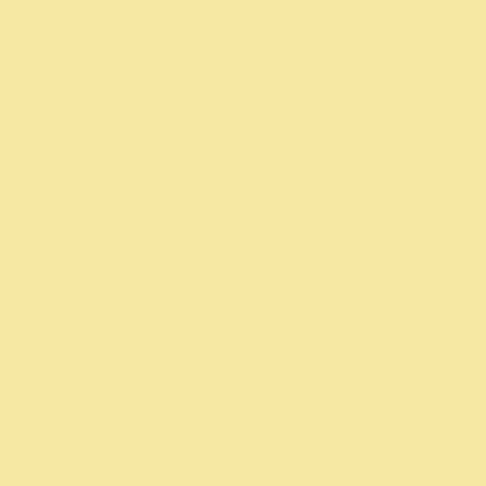 Bee Cute Baby & Kids Fashion - Yellow Pastel Background