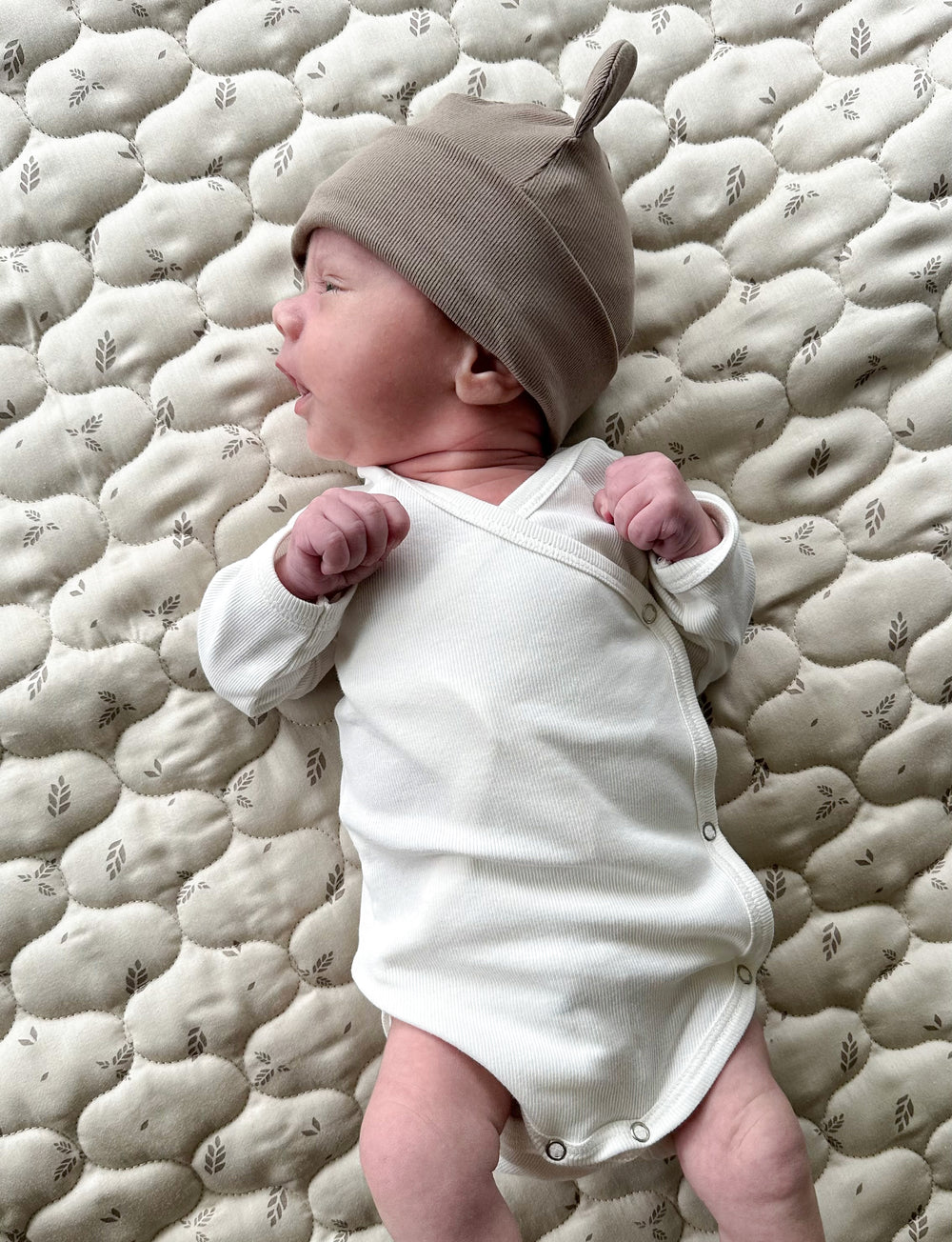 Müsli Rib Bear Beanie Walnut - Newbron Muts - Bruin 3