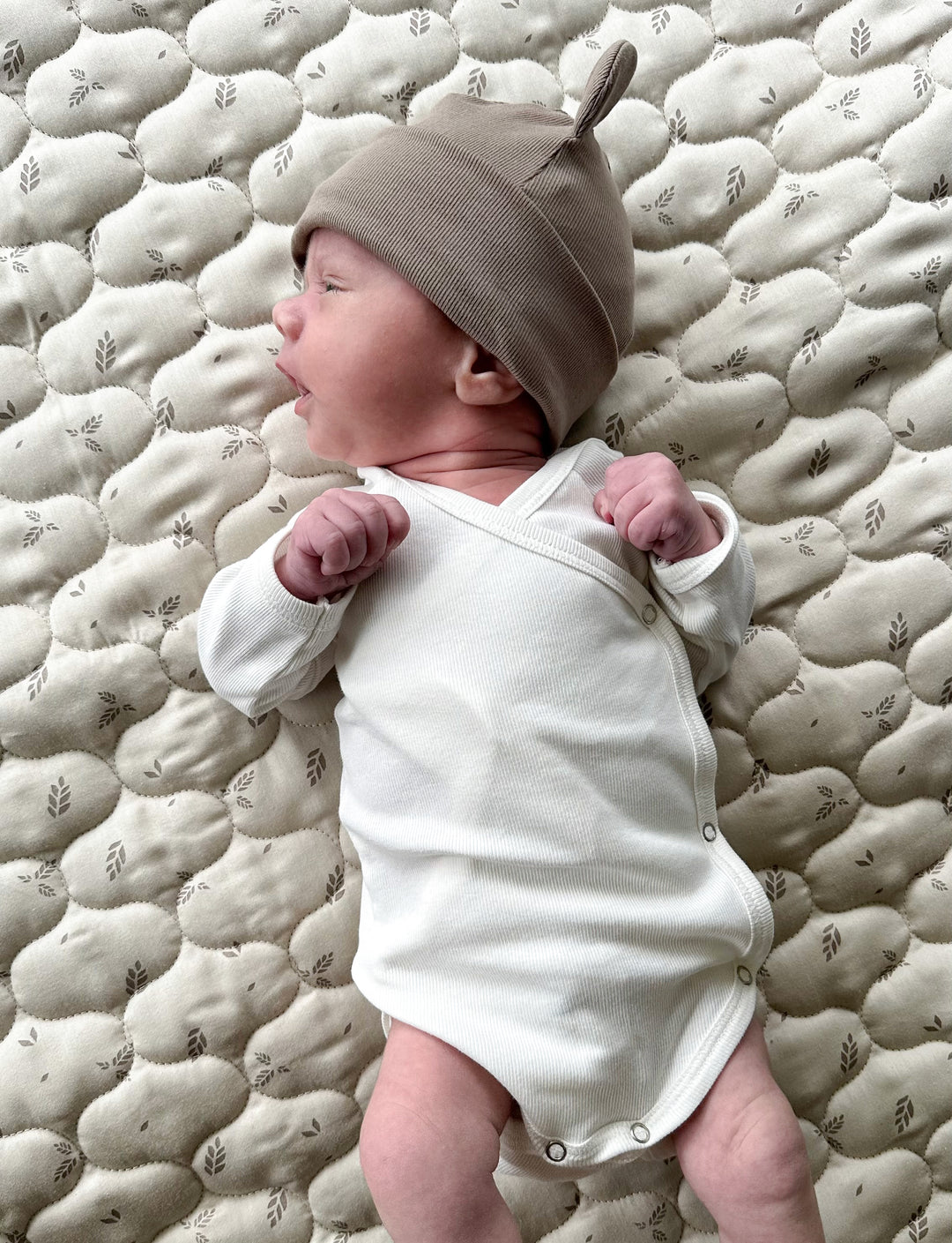 Müsli Rib Bear Beanie Walnut - Newbron Muts - Bruin 3