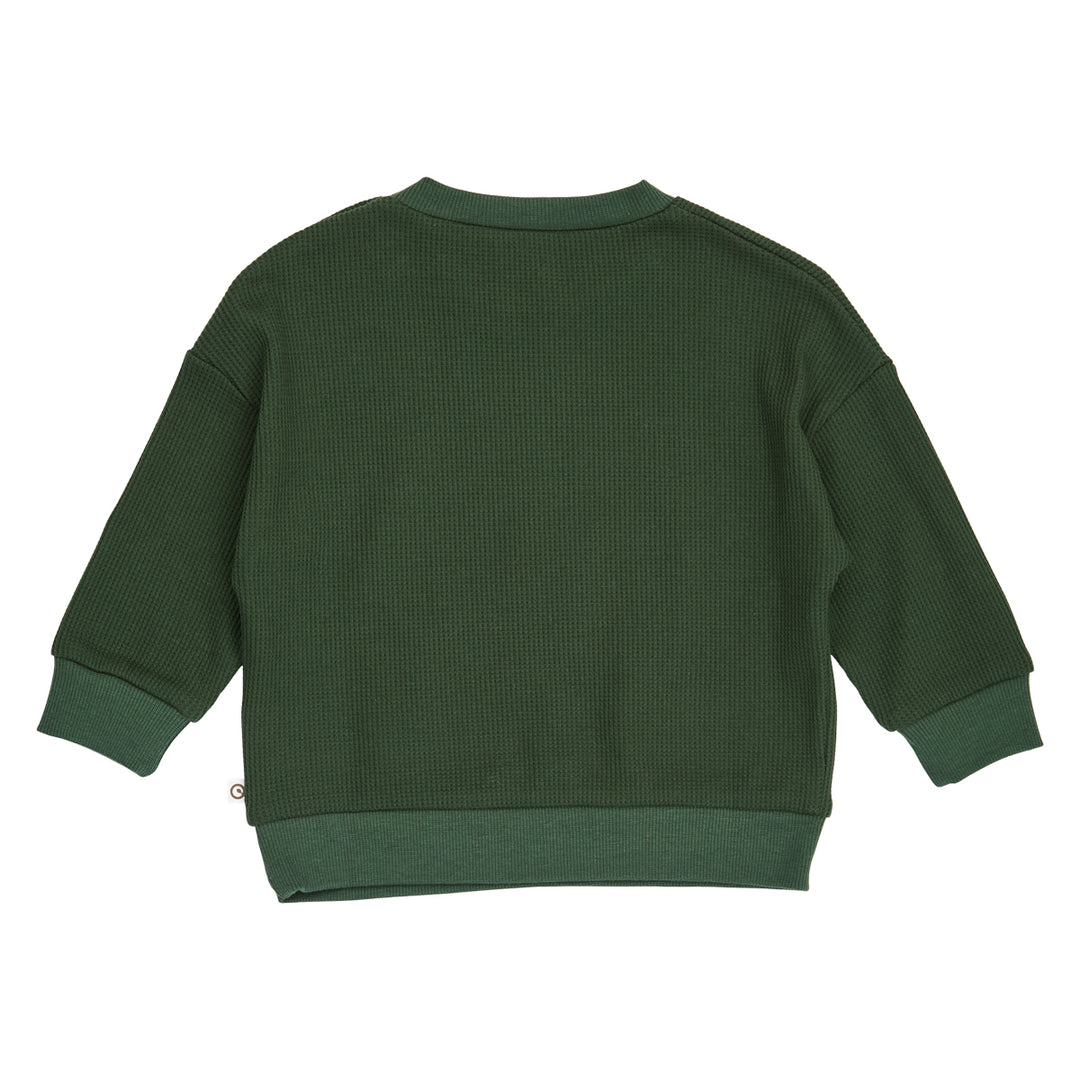 Müsli Waffle Sweatshirt - Baby Jongens Trui - Groen 3