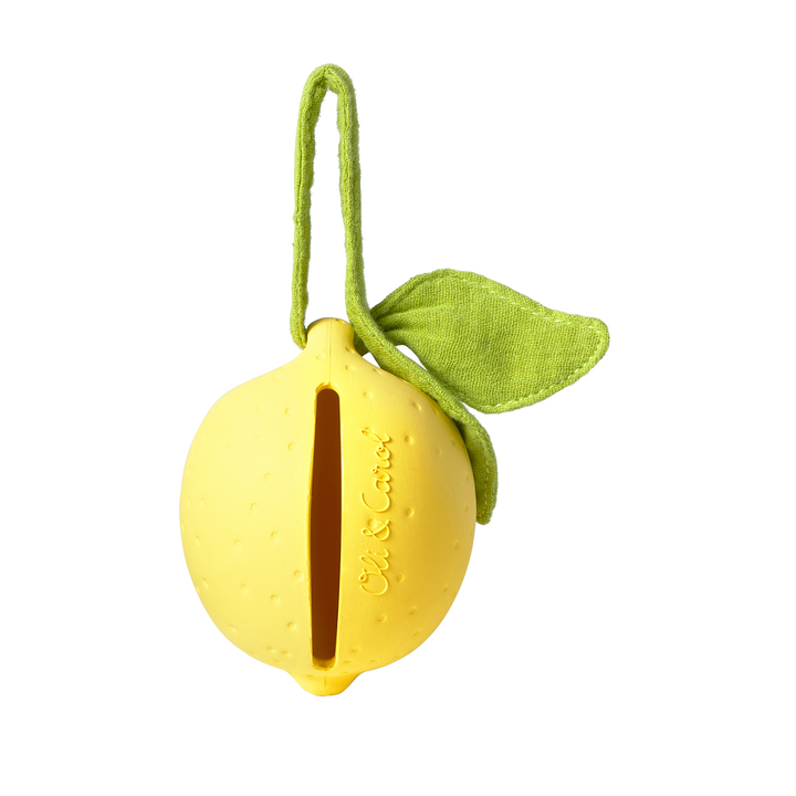 Lou the Lemon Pacifier Case
