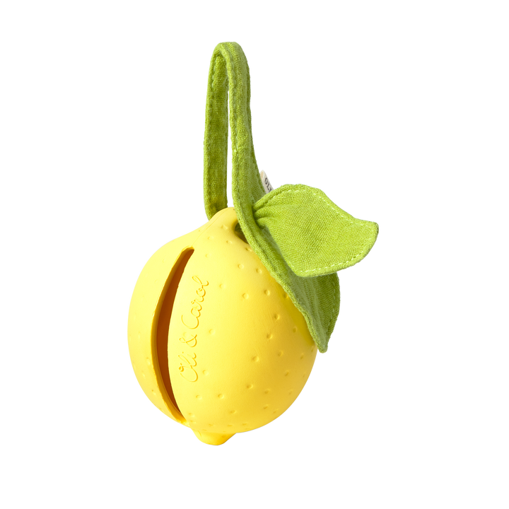 Lou the Lemon Pacifier Case