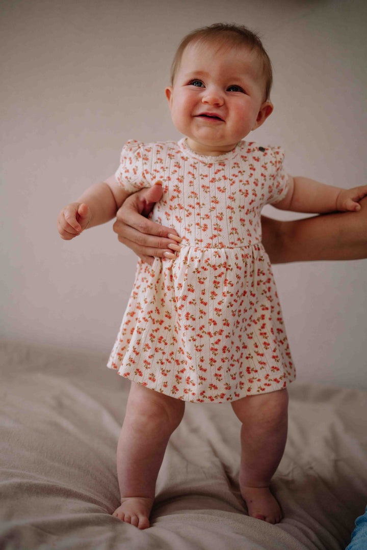 Riffle Dress Abigail Pointelle Blossom - Newborn Jurkje 2