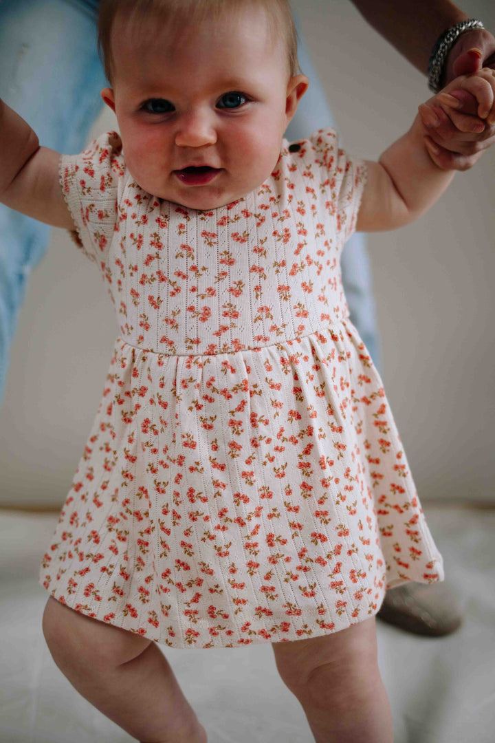 Riffle Dress Abigail Pointelle Blossom - Newborn Jurkje 4