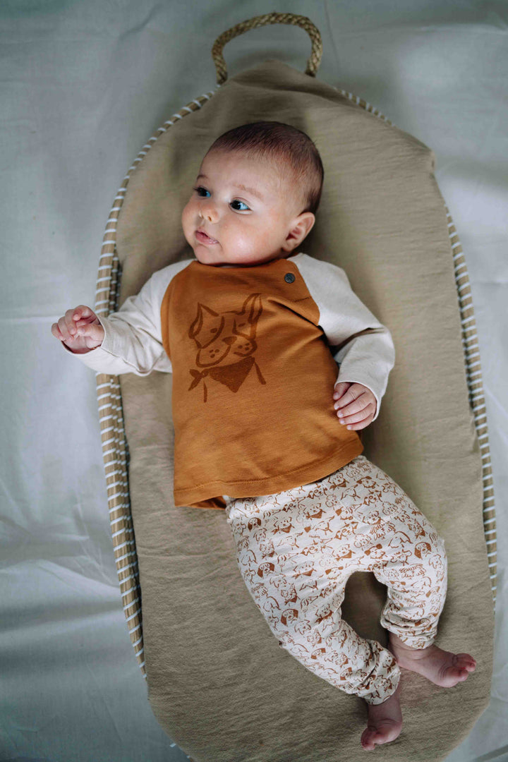 Riffle Legging Perr Small Dogs - Baby Legging - Beige 2