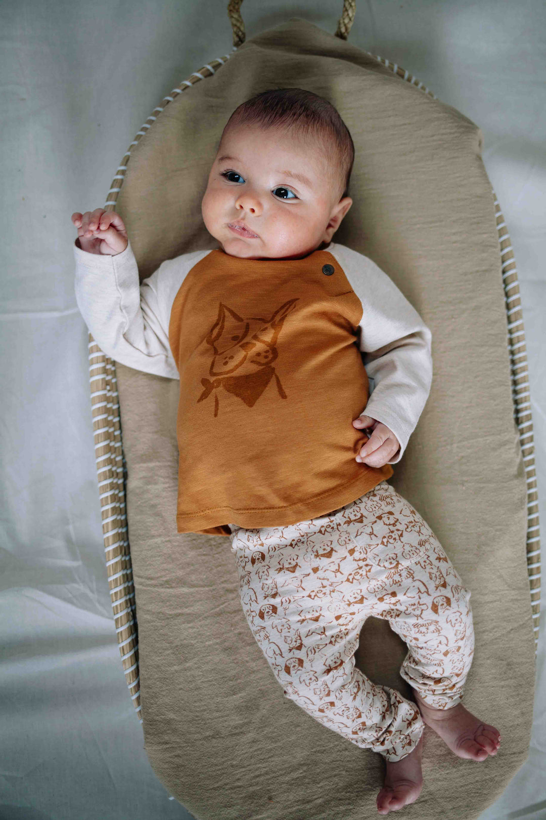 Riffle Legging Perr Small Dogs - Baby Legging - Beige 3