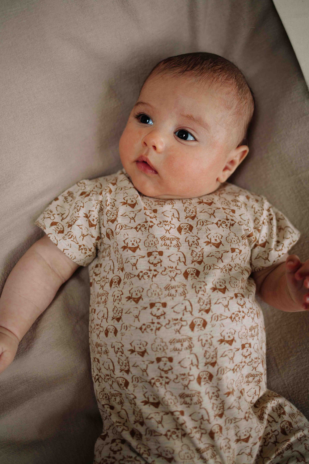 Riffle Suit Shortsleeve Gael Small Dogs - Newborn Onesie 2