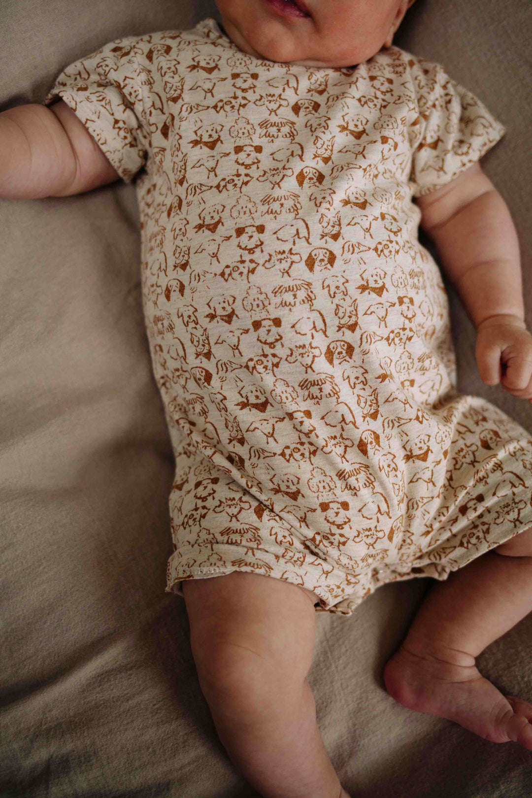 Riffle Suit Shortsleeve Gael Small Dogs - Newborn Onesie 3