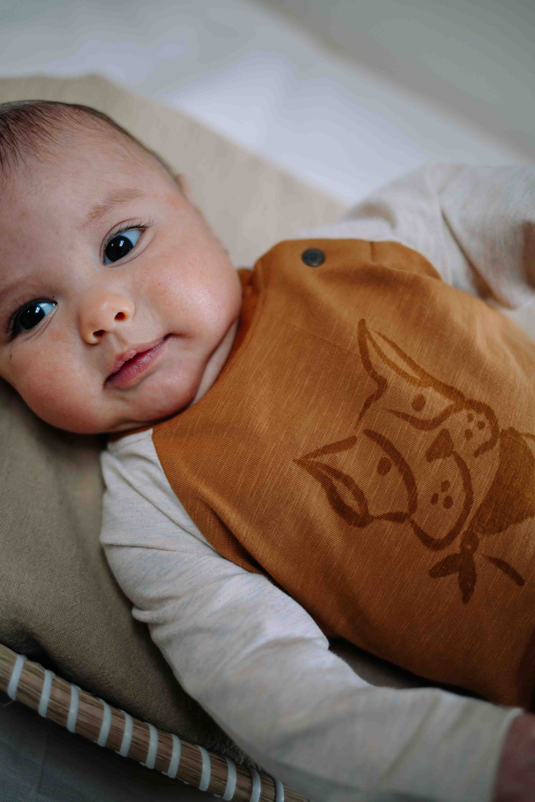 Riffle T-shirt Moove Small Dog - Baby Shirt - Bruin 2