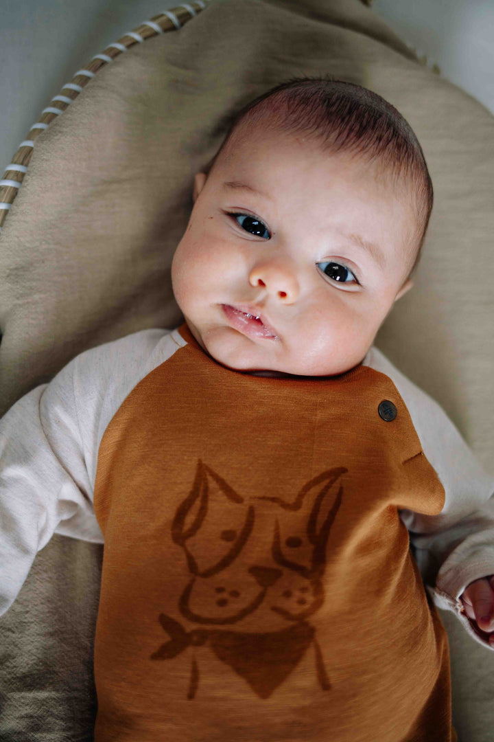 Riffle T-shirt Moove Small Dog - Baby Shirt - Bruin 4