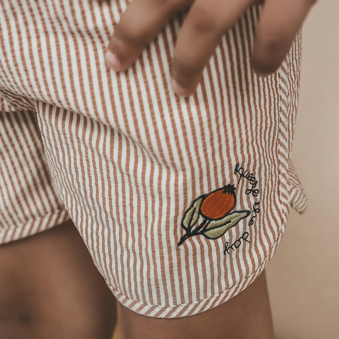 Salted Stories Seersucker Swim Shorts - Jongens Zwembroek 3
