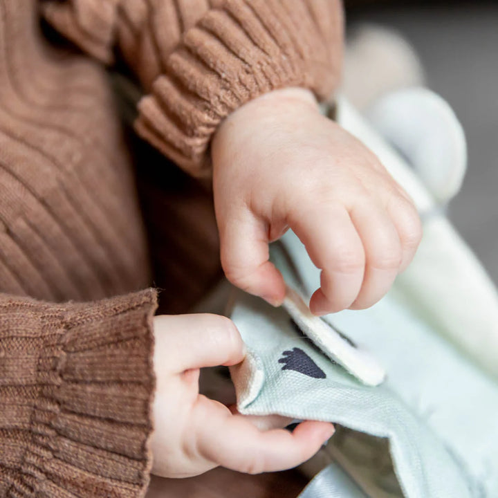 Activity Booklet Whose Trail