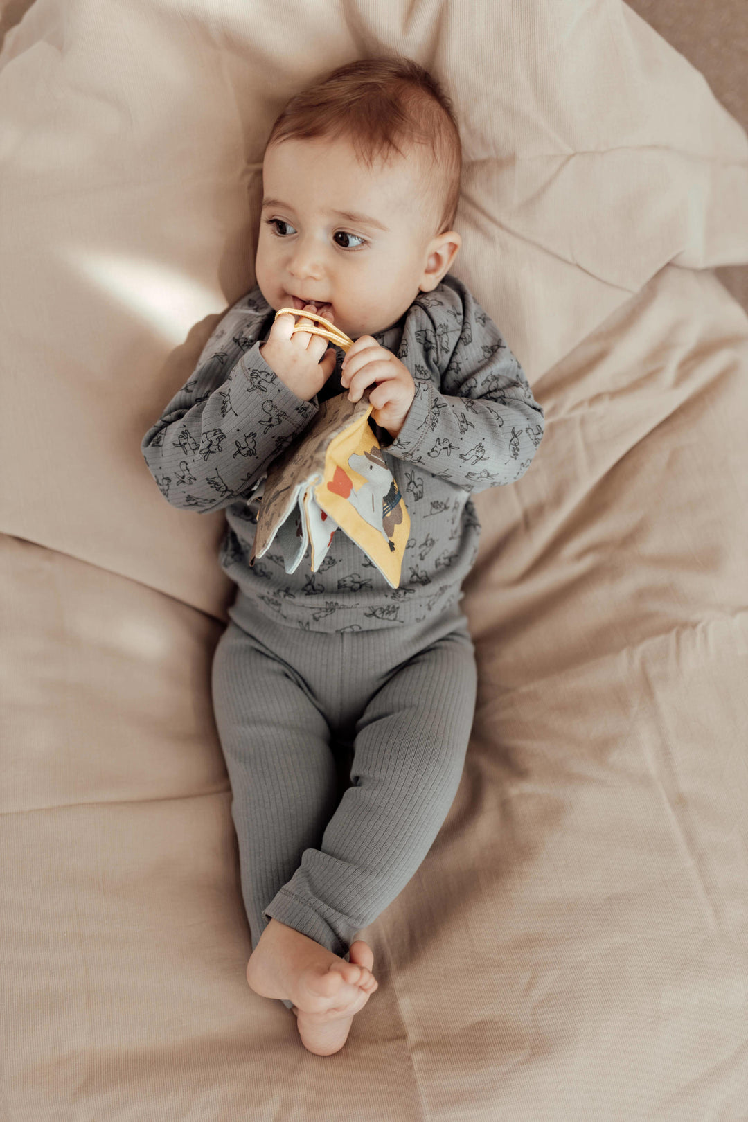 Snoozebaby Buggy Booklet Tellen - Knisperboekje - Geel 3